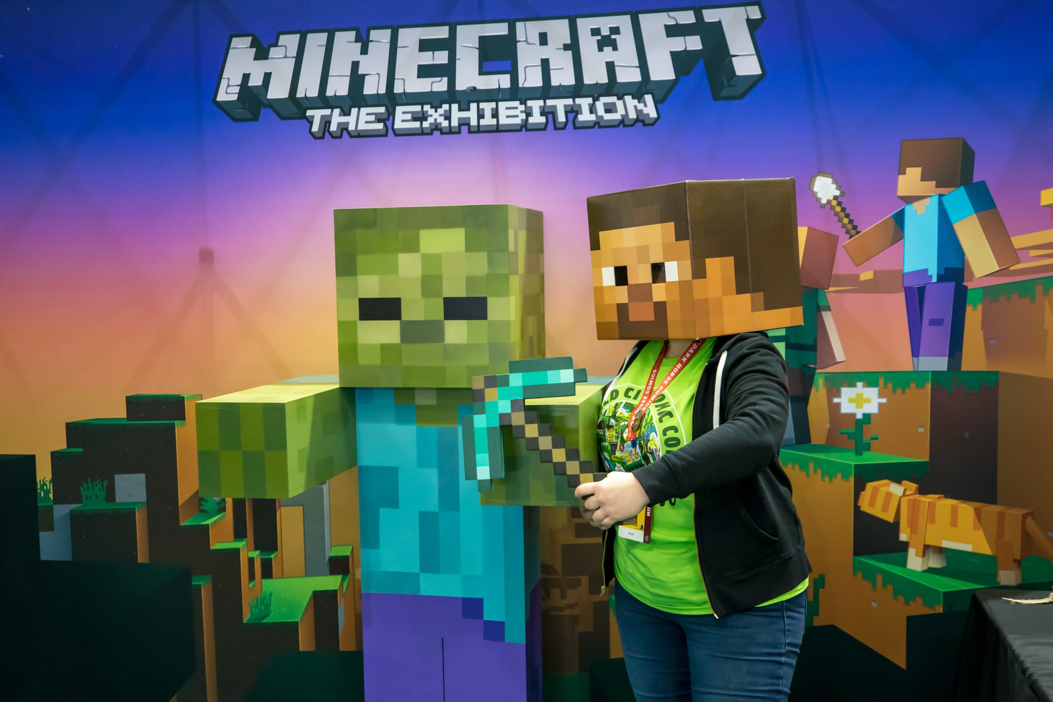 Minecraft Festival thumbnail